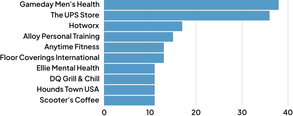 Top Franchises by Number of Loans​​