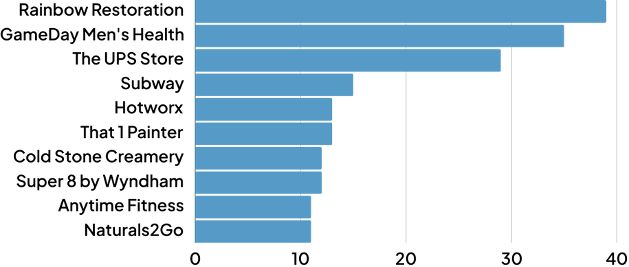 Top Franchises by Number of Loans ()